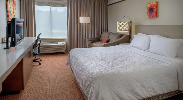 Двухместный номер Premium Hilton Garden Inn St. Louis/Chesterfield