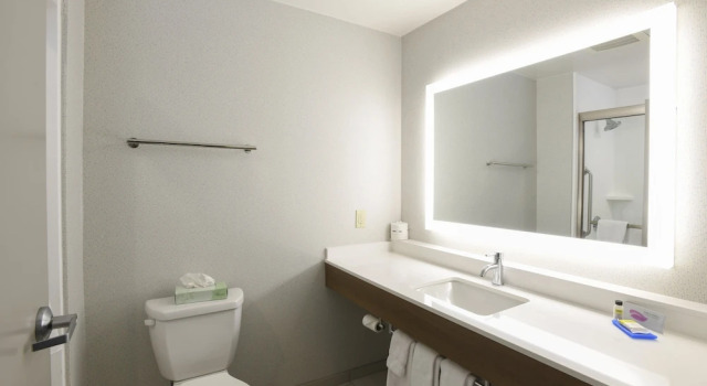 Двухместный люкс c 1 комнатой Holiday Inn Express Hotel & Suites Richwood - Cincinnati South by IHG