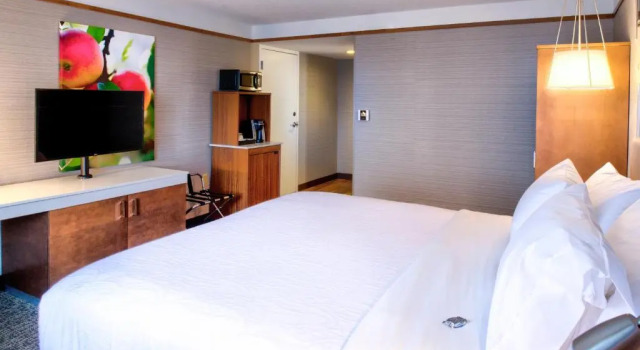 Номер Standard Hilton Garden Inn Detroit Southfield