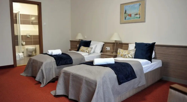 Двухместный номер Superior с видом на город Hotel Három Gúnár