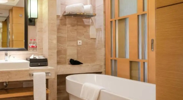 Номер Business с балконом и с видом на сад Your World International Conference Centre Hotel