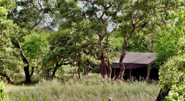 Тент Kruger Untamed - Satara Plains Camp