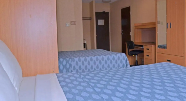 Четырёхместный номер Standard Chestnut Residence - Campus Accommodation