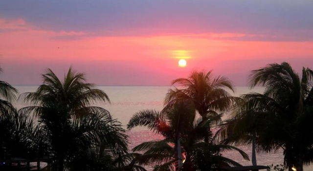 Апартаменты Superior Aruba Surfside Marina