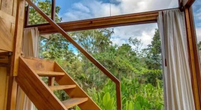 Семейное бунгало Terrabambu Lodge