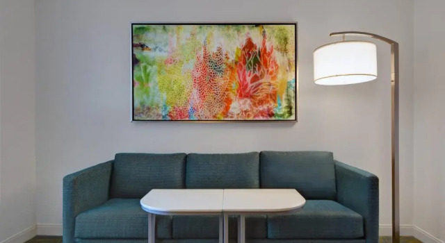 Люкс Springhill Suites Jacksonville