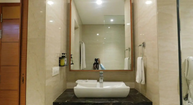Номер Deluxe The Central Park Hotel