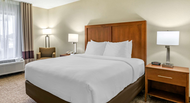 Двухместный номер Standard Comfort Inn & Suites St Pete - Clearwater International Airport
