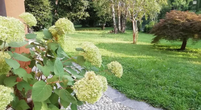 Bnbook Maison Charlotte Casa Vacanza con 2 camere da letto Lago Maggiore, Забронировать Апартаменты/квартира Апартаменты Порто Вальтравалья, Апартаменты/квартира