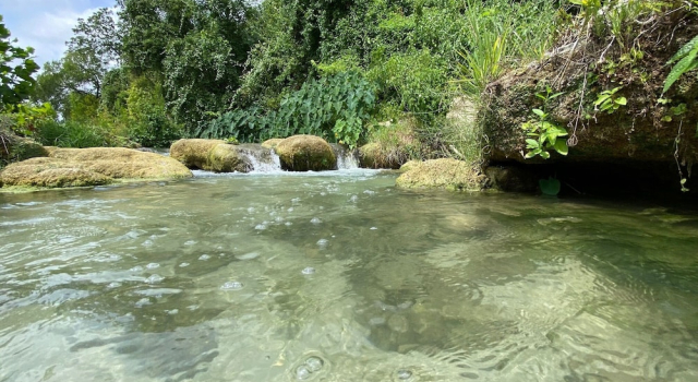 Номер Deluxe Melrose River Club Resort