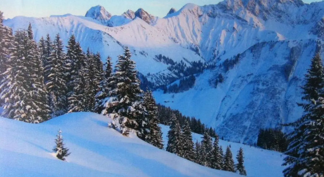 Gasthaus Glöckle, Rezerwuj Apartament Hotele w Bregenzerwald z parkingiem, Parking