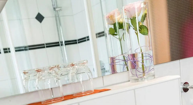 Двухместный номер Standard Landhotel Löwen