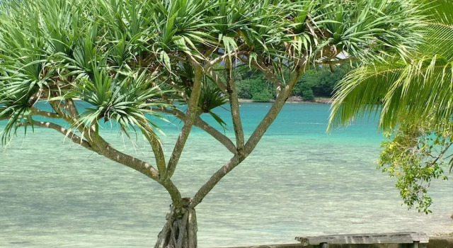 Pacific Lagoon Apartments, Reserva ahora Apartamento Port Vila Efate