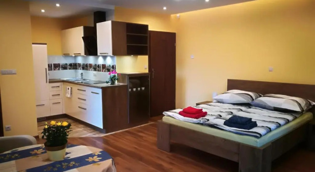 Апартаменты Apartament u Joli