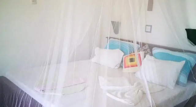 Номер Standard Frangipani Beach Villa
