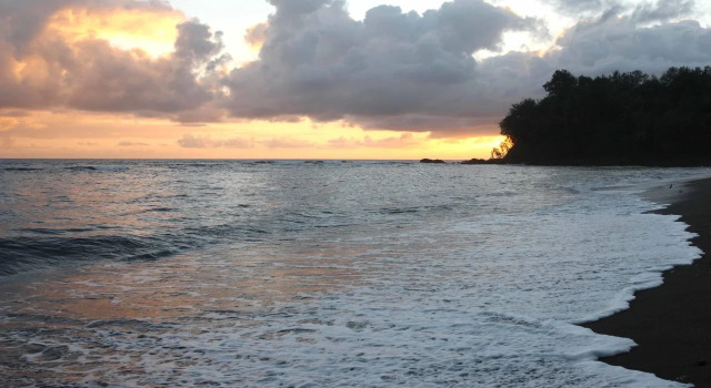 Friendly Beach, Réserver Hôtel Tanna Island Tanna