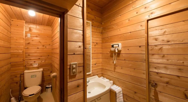 Номер Standard Moiwa Lodge