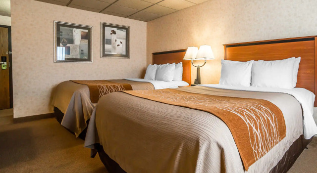 Четырёхместный номер Standard Garner Hotel Butte by IHG