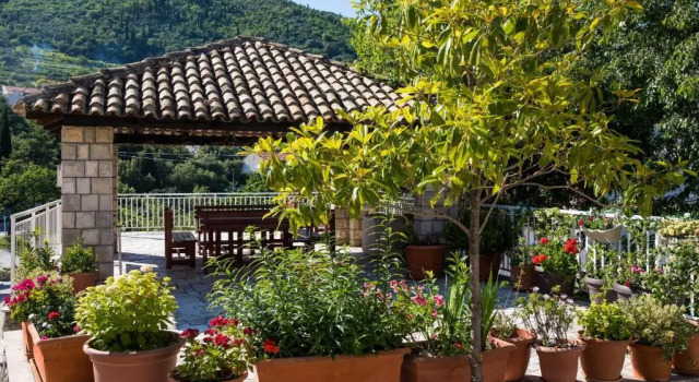 Апартаменты Standard Guest House J&J