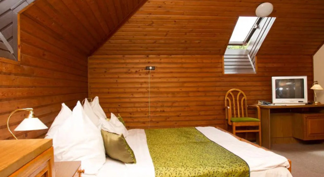 Одноместный номер Standard Hotel Molnár