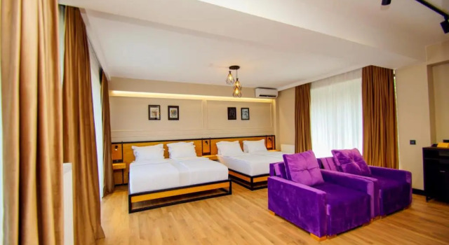 Двухместный номер Deluxe Borjomi Bridge Hotel