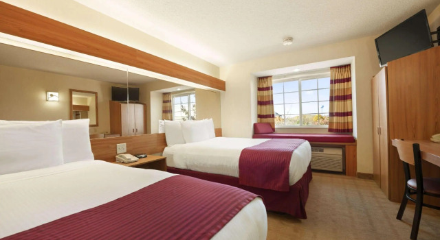 Четырёхместный номер Standard Microtel Inn & Suites by Wyndham Ann Arbor