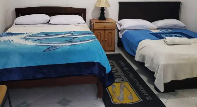 Номер Classic Hostal Davinci Mitad del Mundo