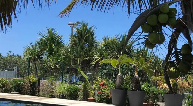 Коттедж Bras-Panon: Maison avec vue et piscine 1-4 pers