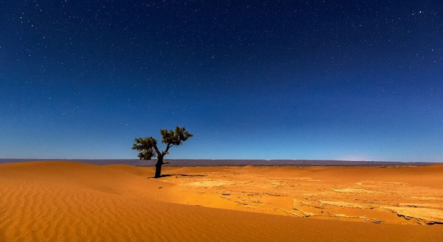 Camp Sahara Nights, Забронировать Кемпинг Кемпинги и глэмпинги Мхамид-эль-Гизлане, Кемпинг