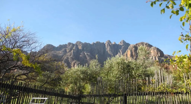 Студия Amberg Country Estate
