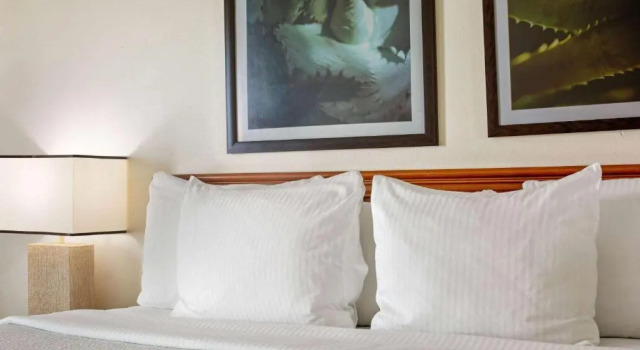 Номер Standard La Quinta Inn & Suites by Wyndham Sawgrass