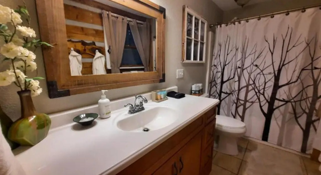 The Mountain Forager Cabin, Whitewater Rafting, Polar Express, Hot Tub, Home Gym
