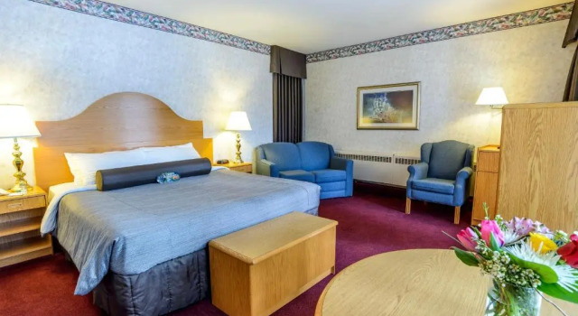 Premium cameră Bow View Lodge