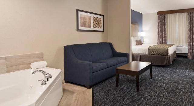 Люкс Best Western Plus Flint Airport Inn & Suites