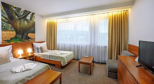 Номер Standard Hotel Janosik