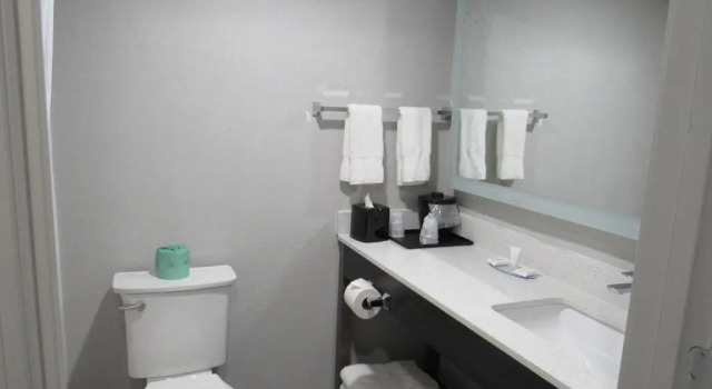 Номер Standard Clarion Pointe McDonough