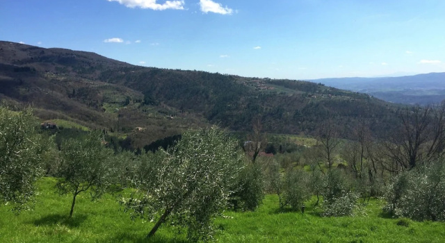 Коттедж Hillside Retreat With a View