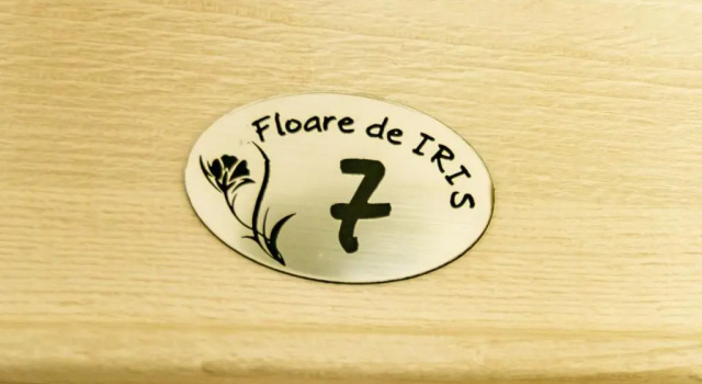 Апартаменты Floare de Iris