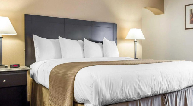 Номер Standard Quality Inn & Suites Coliseum