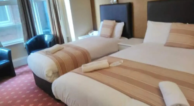 Одноместный номер Standard Palm Court Hotel