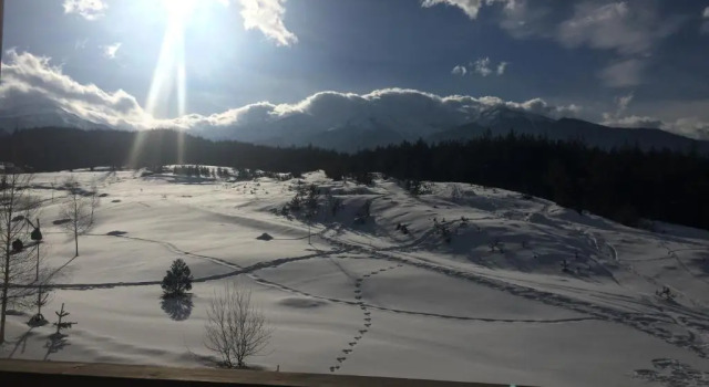 Апартаменты Apartment PM Lux Bansko