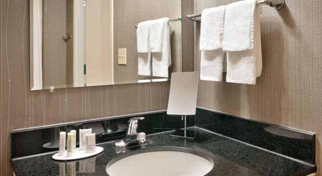 Двухместный номер Standard Цокольный этаж Courtyard by Marriott Charlotte Airport LoSo