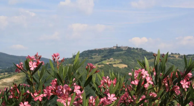 Студия Agriturismo Materno