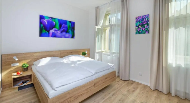 Двухместный номер Standard DownTown Suites Jugoslavska