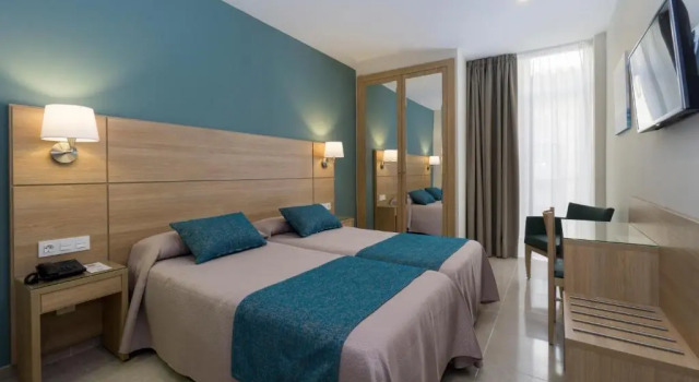 Одноместный номер Hotel Sur Málaga
