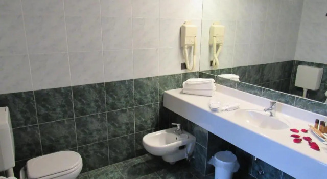 Полулюкс Green Hotel