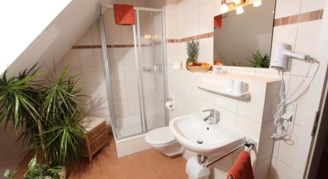 Двухместный номер Deluxe Gasthof-Pension Brauner Hirsch in Alfeld - Mittelfranken
