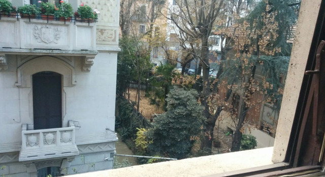 Adam's House