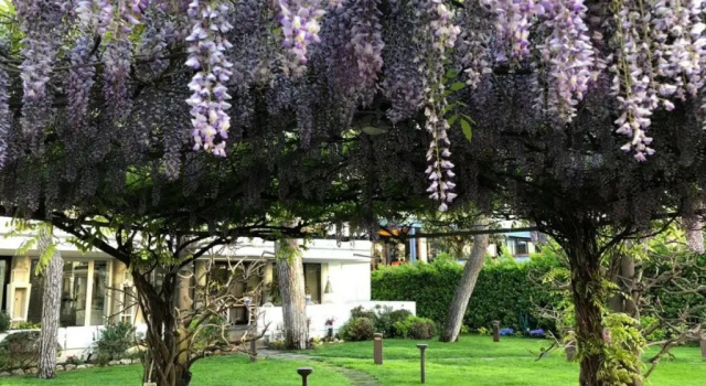Hotel Bracciotti