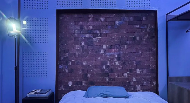 Студия Deluxe Apartamento Moderno en la Anzures